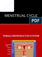 Menstrualcycle