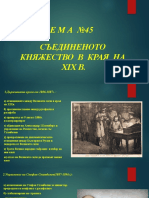 Съединеното Княжество в края на XIX в.1