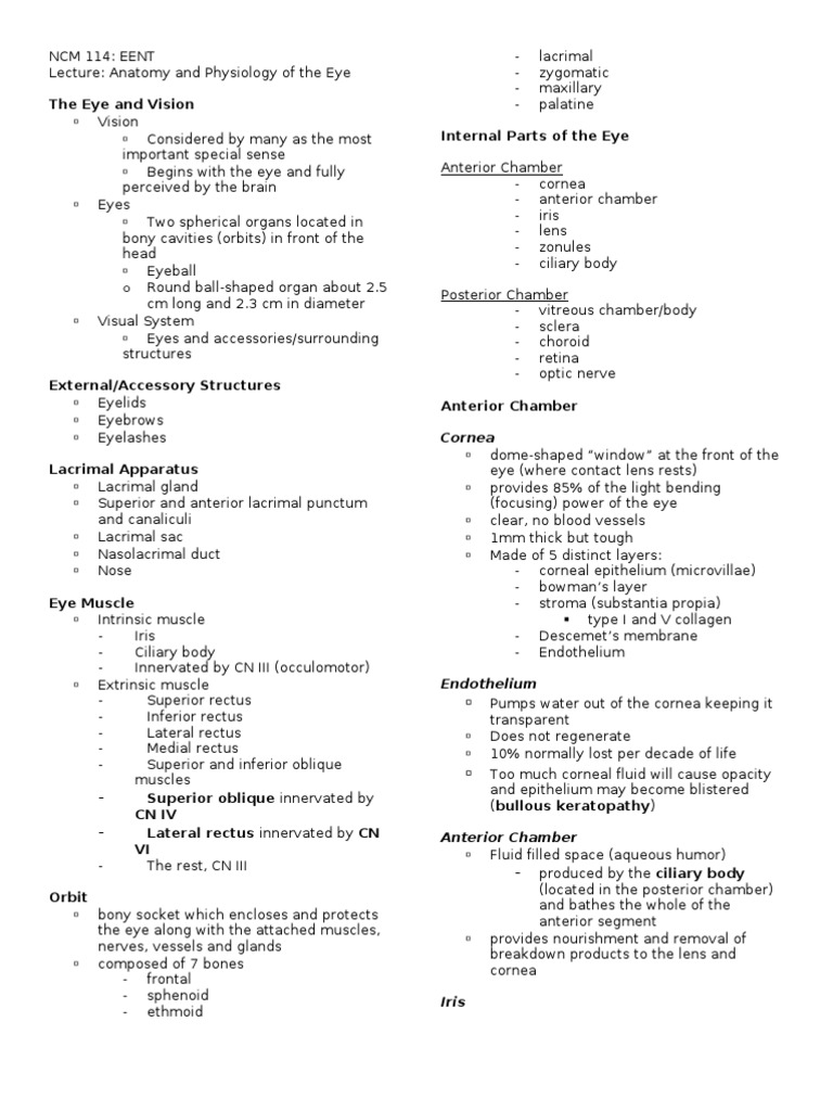 Anatomy and Physiology of the Eye | PDF | Cornea | Visual System
