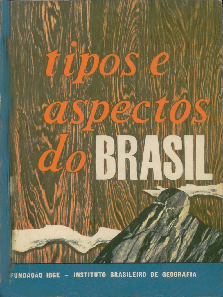 O PEÃO CONDUZ A BOIADA E O ROBUSTO BÚFALO EM DIREÇÃO À PASTAGEM 