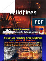 Wildfires: David Alexander