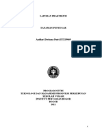 Andhari Derhana Putri - J3T219069 - Tanaman Penyegar TM1
