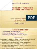 Tema 4. Programul de Productie