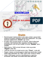 Enzimler