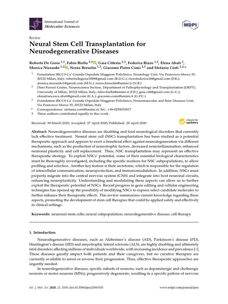 Neural Stem Cell Transplantation For Neurodegenerative Diseases | PDF ...