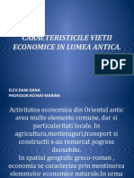 Caracteristicile Vietii Economice in Lum