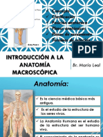 Anatomia Diapositivas Conceptos Basicos Clase 1
