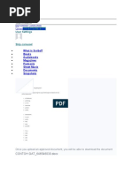 PDF Document