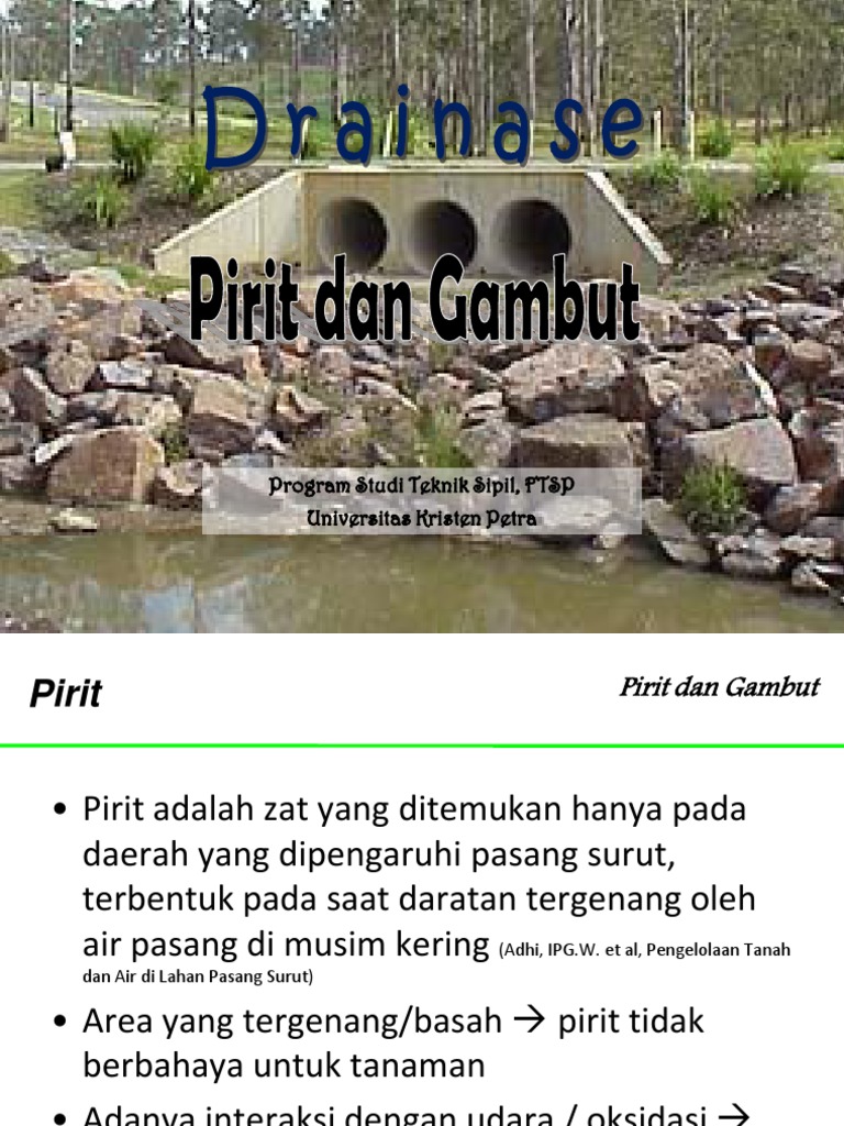 Dampak Pirit pada Tanah Gambut | PDF