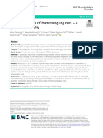 The Mechanims of Hamstrings Injuries - A Systematic Review