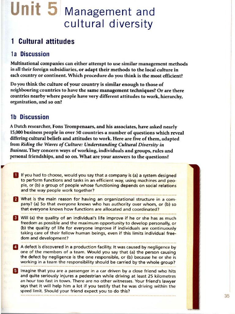 364 - Management and Cultural Diversity | PDF