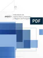 Anexo I-Directriz - 2017 - Inversiones