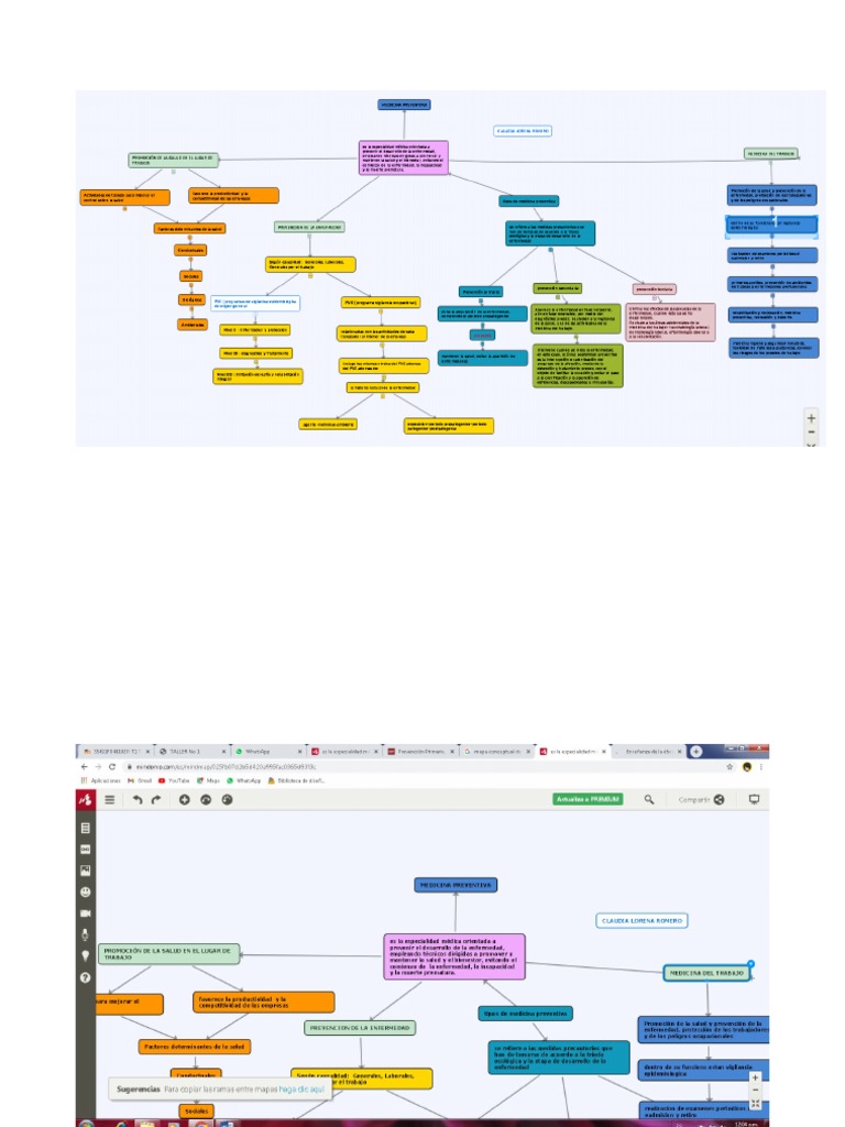 Mapa Conceptual Medicina Preventiva | PDF