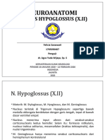 N Hypoglossus