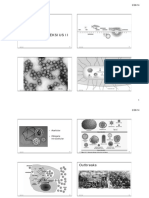 Penyakit Viral: Penyakit Infeksius Ii IPH421