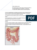 Apendicitis Aguda