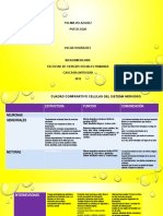 Cuadro Comparativo