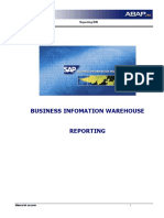 BW - Manual Reporting