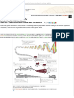 Eukaryotic Genome Complexity - Learn Science at Scitable