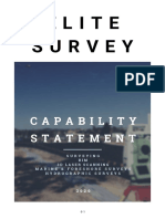 Elite Survey: Capability Statement