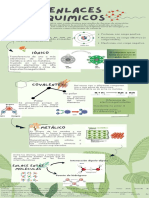 Green Organic Natural Photosynthesis Biology Infographic 