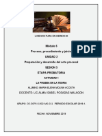 Módulo 6 Proceso, Procedimiento y Juicio. Unidad 2 Preparación y Desarrollo Del Acto Procesal Sesion 5 Etapa Probatoria