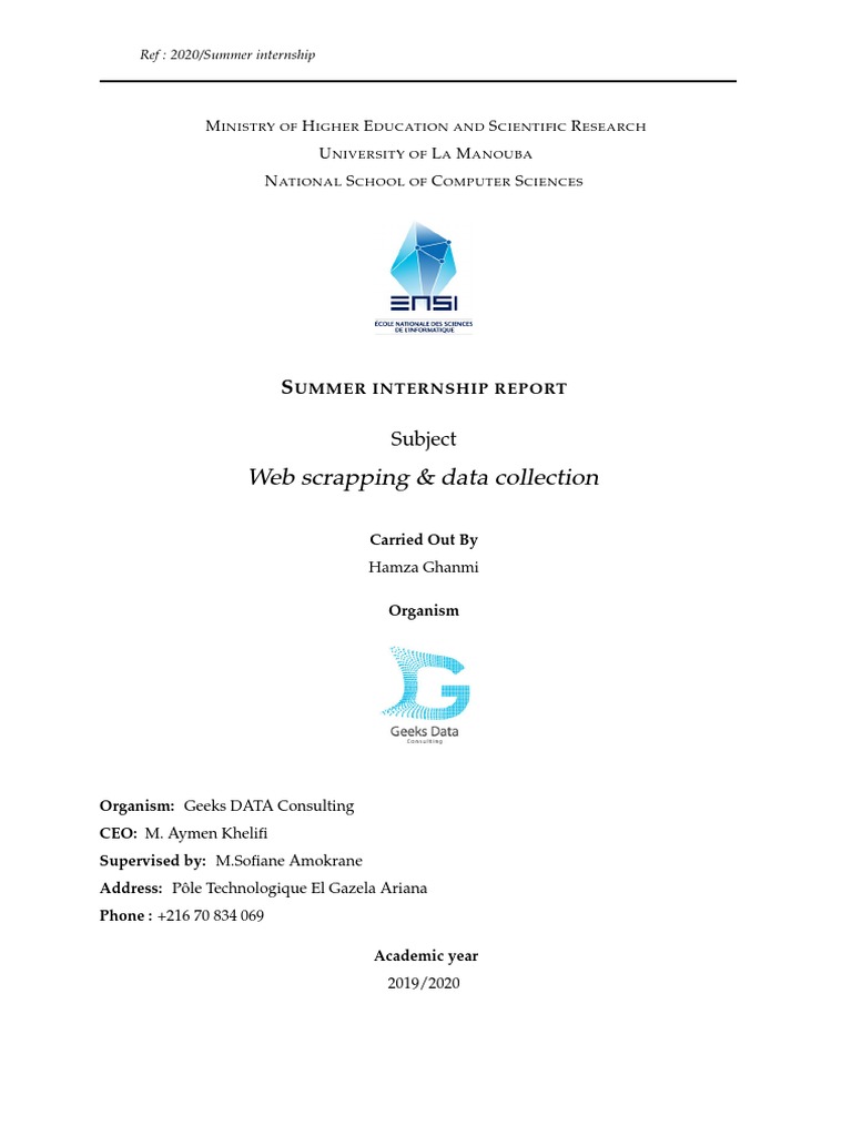 Internship Report | PDF | World Wide Web | Internet & Web