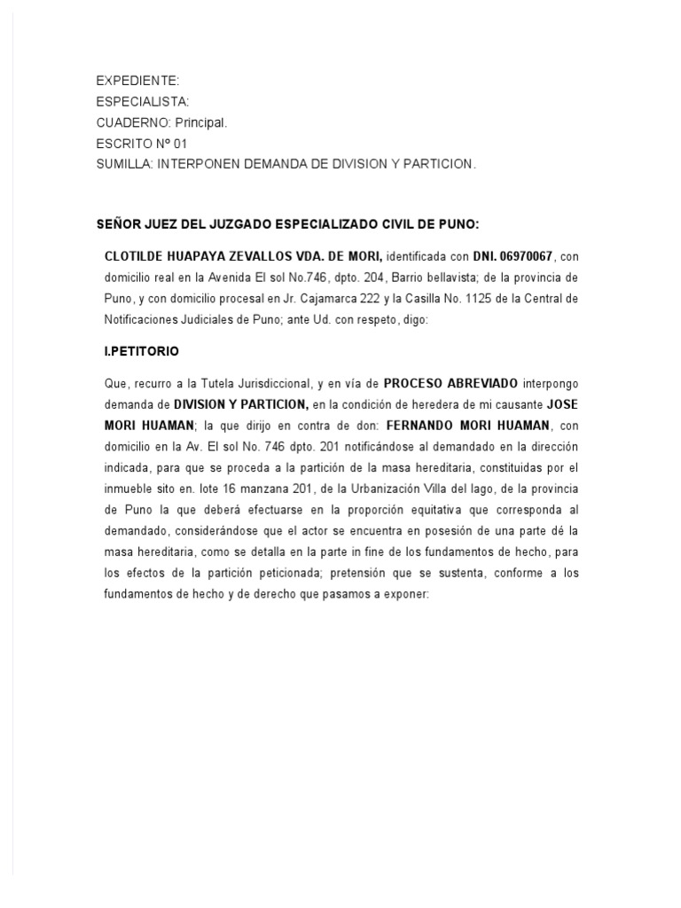 Modelo de Demanda de Division y Particion | PDF | Herencia | Demanda  judicial