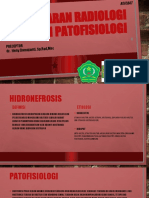 Referat - Hidronefrosis
