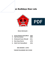 Budidaya Lele