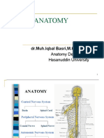 Neuroanatomy: DR - Muh.Iqbal Basri, M.Kes, SP.S