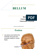 Cerebellum: Anatomy Department Hasanuddin University