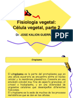 fisiologia vegetal 2 celula vegetal, parte II