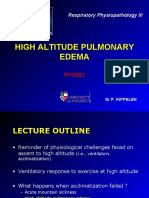 High Altitude Pulmonary Edema: Respiratory Physiopathology III