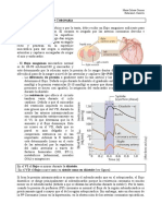 Circulacion Coronaria