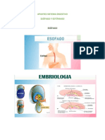 Digestivo Esofafo y Estomago