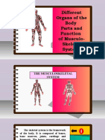 Science 6 - Q2 - L1 - Parts and Function of Musculo-Skeletal System