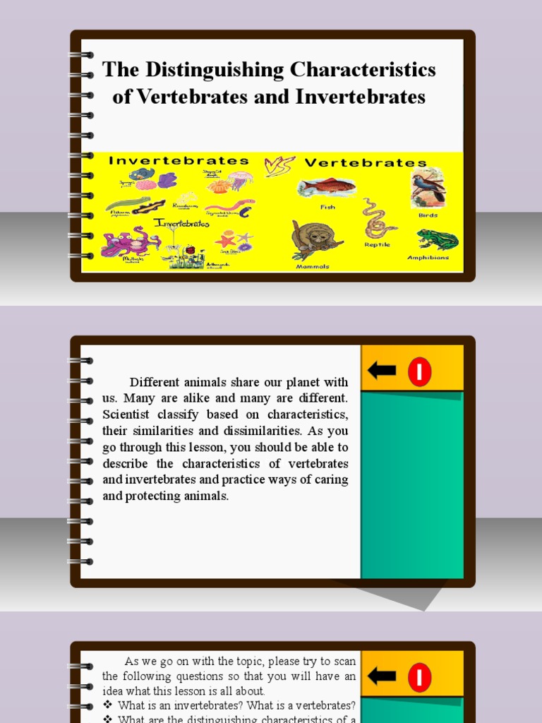 Science 6 - Q2 - L7 - The Distinguishing Characteristics of Vertebrates