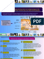 Pertemuan 2 Sistem Ekskresi Platinum