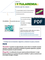 Peste y Tularemia PDF