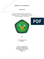 Budidaya Ayam Petelur PDF