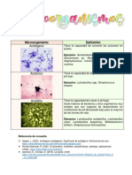 Definiciones de Acidógeno, Acidúrico y Acidófilo