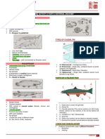 AMALAB Activity2 Reviewer Actinopterygii-EarlyTetrapods