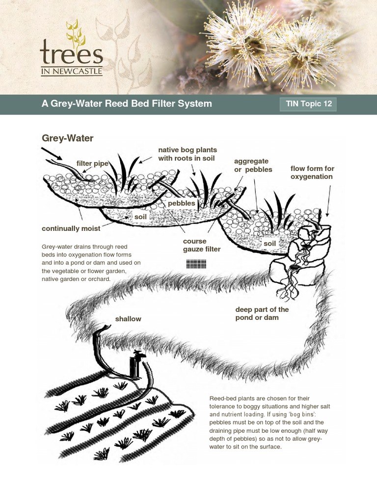 A Grey Water Reed Bed Filter System PDF Pond Wetland