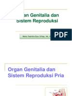 1.Sistem Reproduksi Sintha Goa