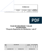 Plan de Seguridad y Salud Ocupacional - RPO