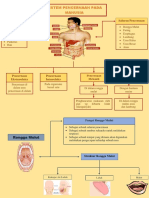 Shavira Purwidanarti (18320010) - Mind Mapping - Sistem Pencernaan