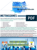 TAREA N°1 INSTRUCCIONES (Semana 1 Al 4)