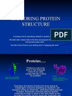 Exploring Protein Structure