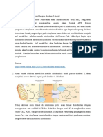 Metabolisme Lipid